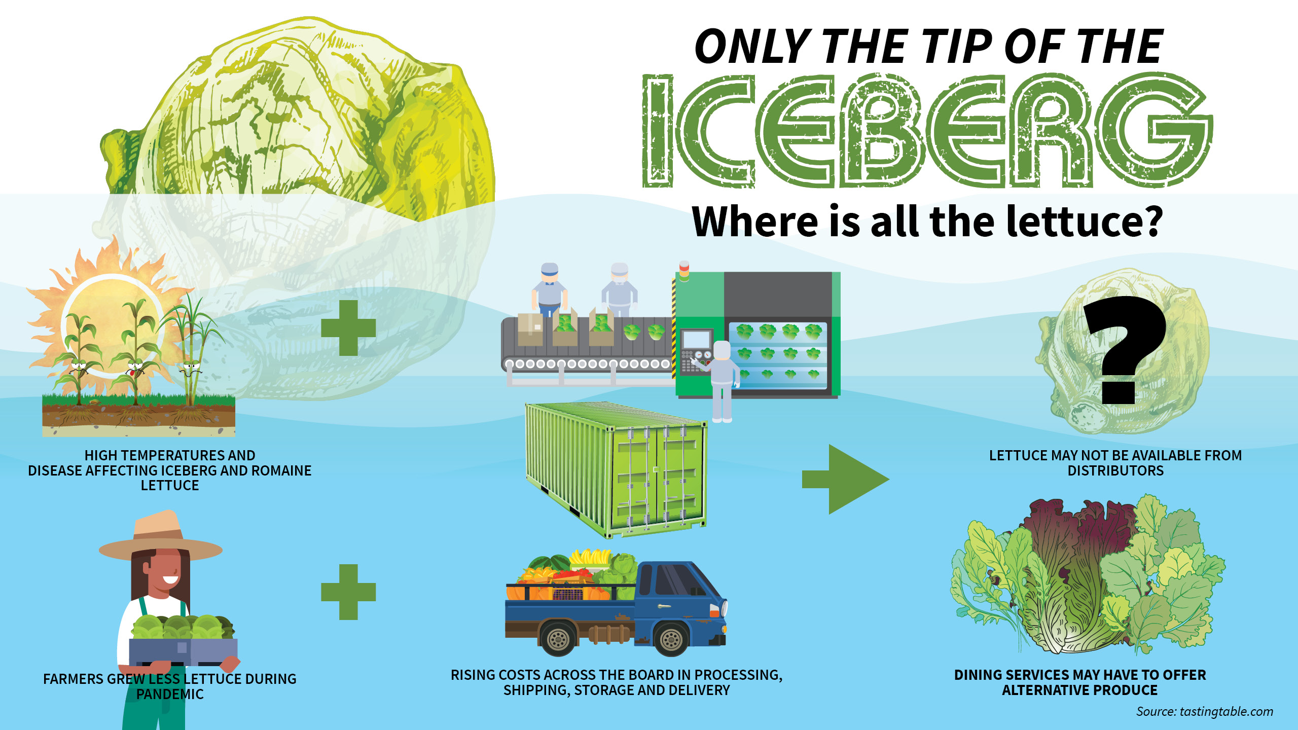 iceberg lettuce